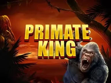 Play2Win Casino screenshot